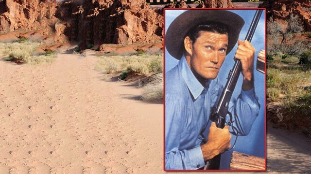 The Rifleman